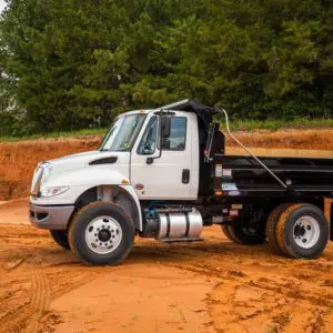 Dump Truck for sale by Ledwell